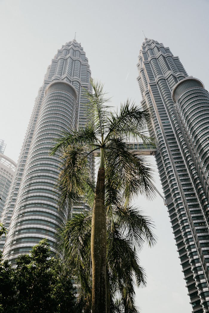 A low angle view of the iconic Petronas Towers with a palm tree in the foreground in Kuala Lumpur, Malaysia.